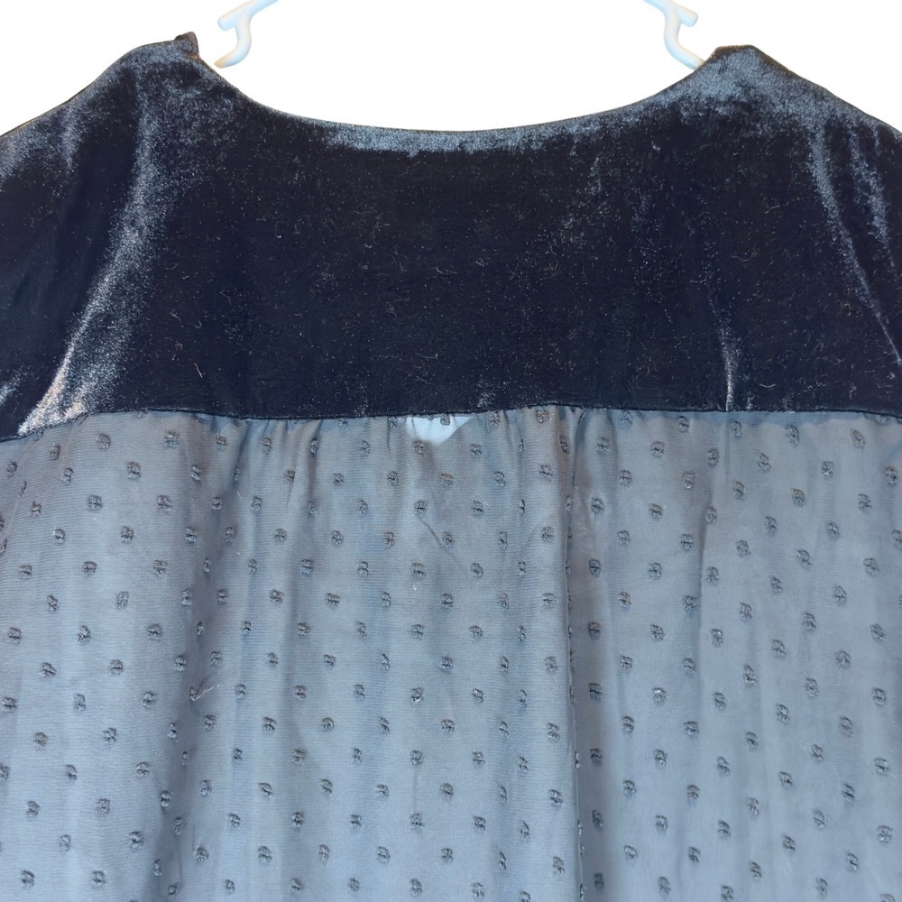 NEW Black Whimsigoth Sheer Swiss Dot Blouse M Velvet Embroidery Fairy Grunge - Picture 4 of 8